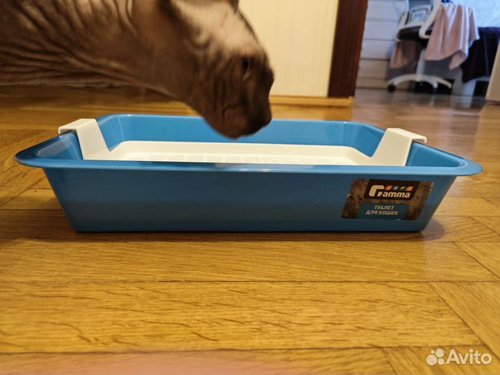 Лоток для котят