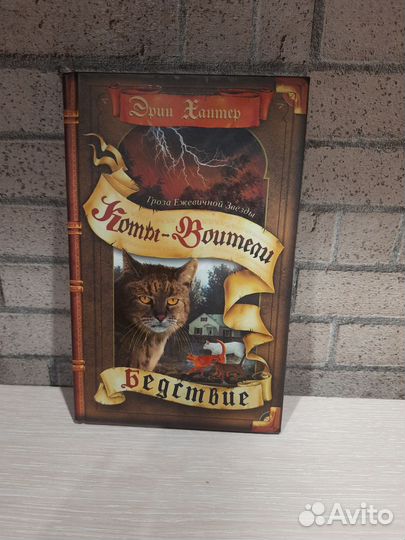 Коты-Воители. Бедствие