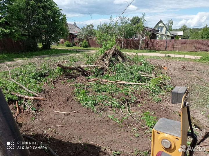 Спил деревьев