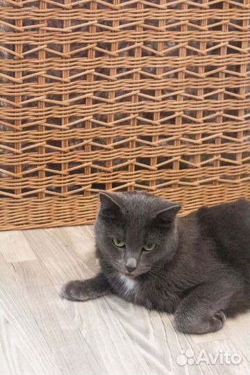 Плетёные декоративные панели