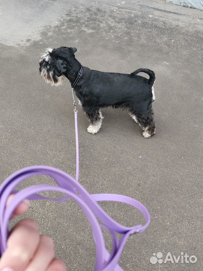 Биотановый поводок