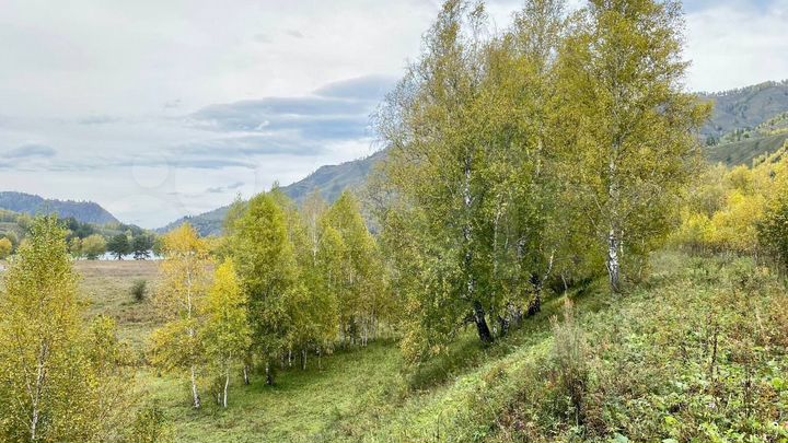 Участок 30 сот. (СНТ, ДНП)