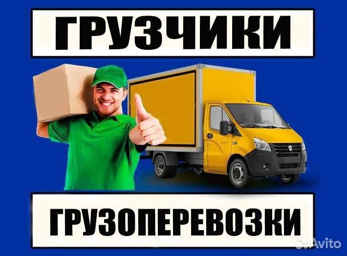 Грузчики опытные взрослые. Грузоперевозки