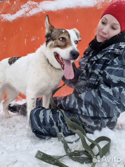 Шикарная девочка ищет дом