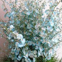 Композиция цветочная интерьерная