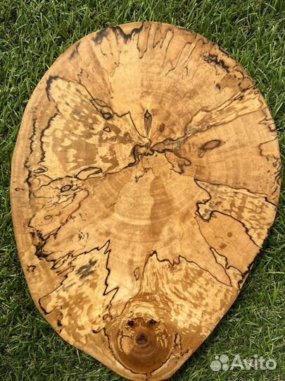 Спил березовый, спил из дерева, подставка