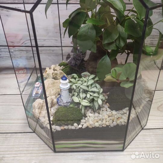 Флорариум, подарок, декор, цветы