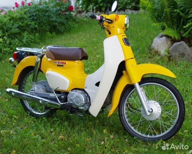 Honda Super Cub