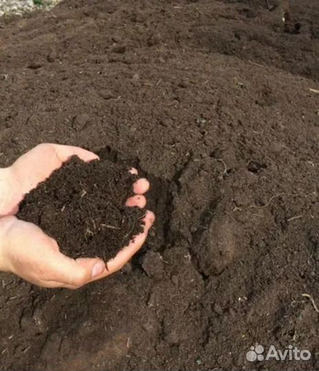 Перегной, плодородная земля