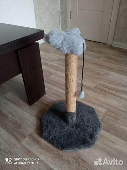 Когтеточка