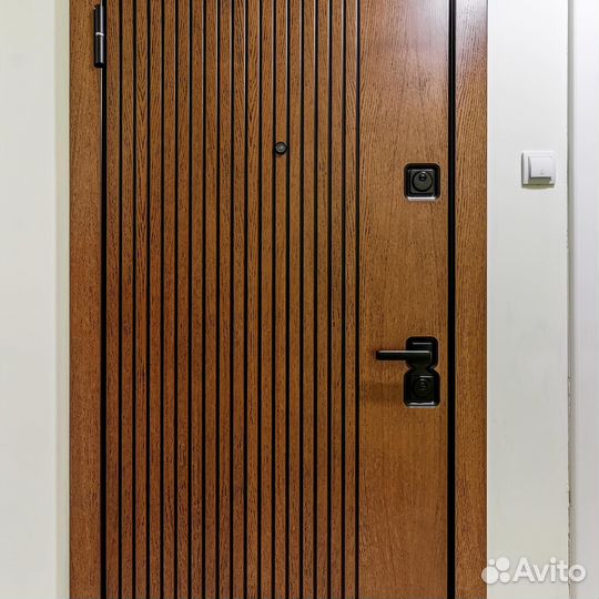 Дверь железная уличная с установкой