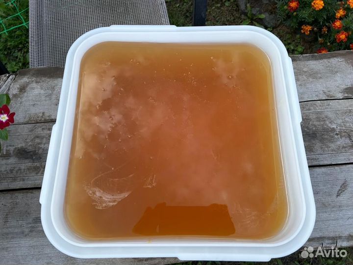 Мед донниковый. Оптом из Барнаула