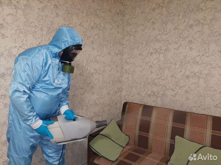 Уничтожение тараканов, уничтожение клопов