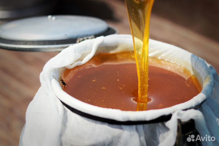 Мёд с Тамбова 2023 года