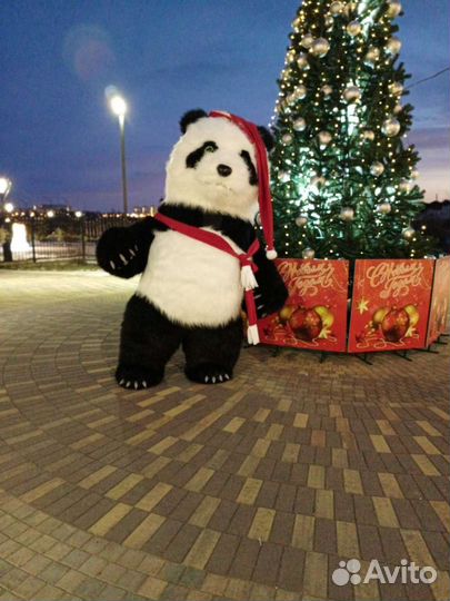 Надувной медведь панда, ростовая кукла, аниматор