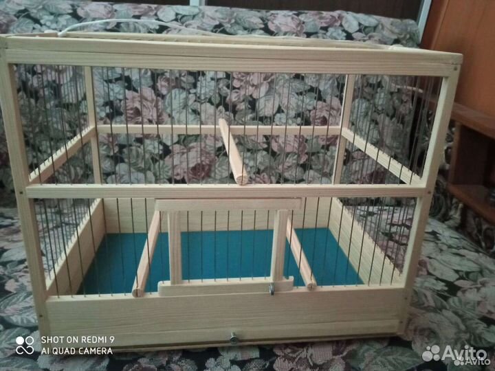 Кенарь белый