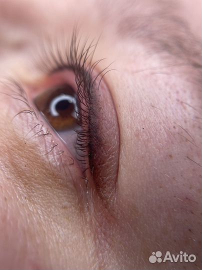 Перманентный макияж бровей губ межресничка