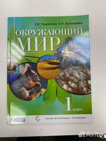 Учебные пособия 1 кл по Эльконину-Давыдову