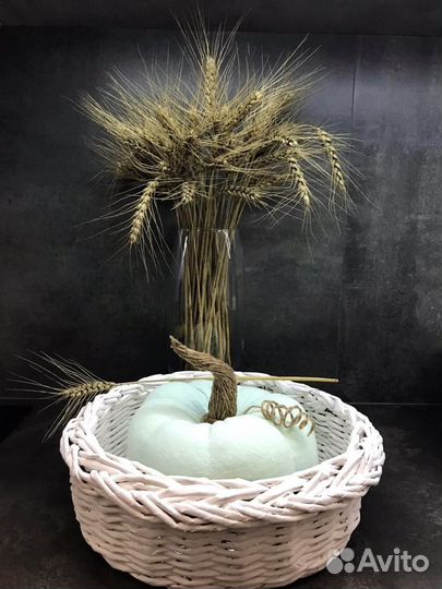 Тыква декоративная