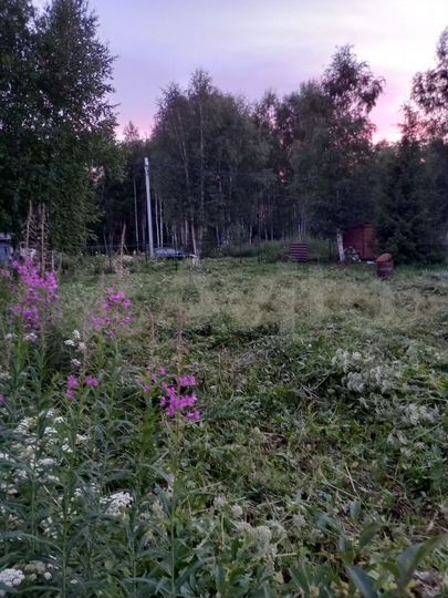 Участок 6 сот. (СНТ, ДНП)
