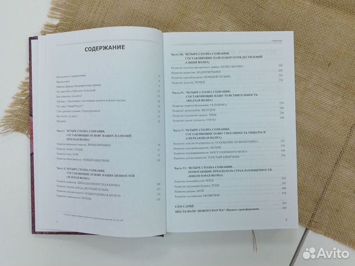 Книга. Шантам Дирадж 