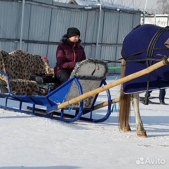 Сани для лошади упряжь дуга обмен