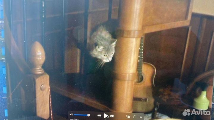 Винтовая дубовая лестница премиального класса