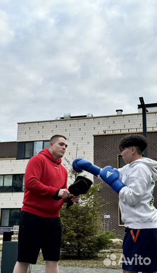 Тренировки по боксу
