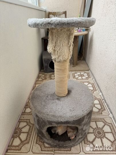 Когтеточка