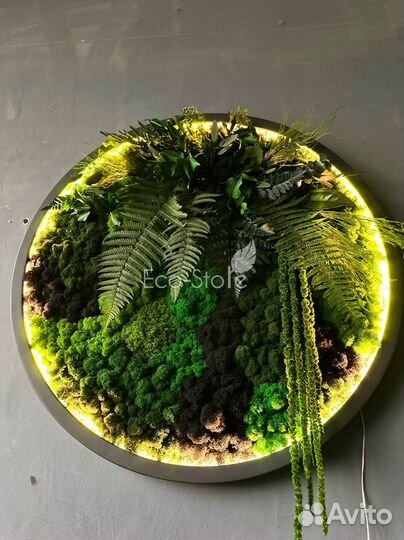 Круглое панно из мха и растений 50 см