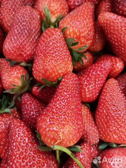 Свежая клубника, Черешня