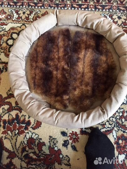 Лежанка для кошек бу