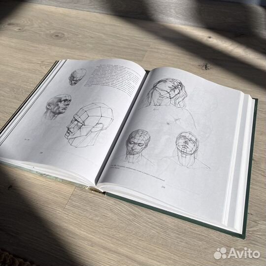 Николай Ли. Основы академического рисунка