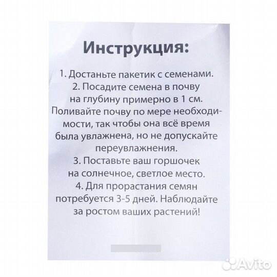 Набор для опытов «Выращиваем травку», зайка