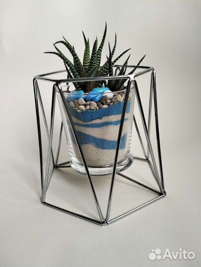 Подарок на 8марта / Живые цветы/ Флорариум