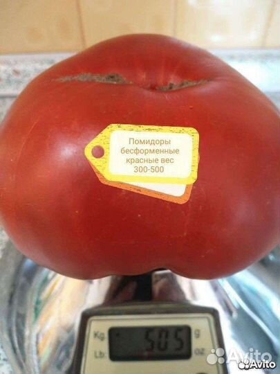 Семена домашних помидор из СССР красные и розовые