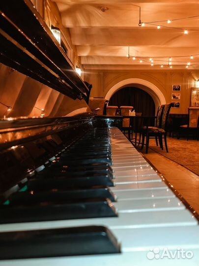 Организация мероприятий, банкетов, концертов