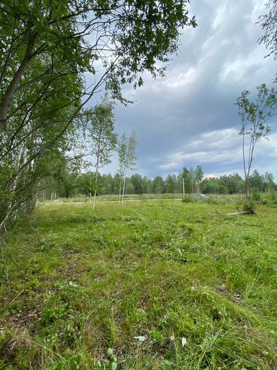 Участок 9,3 сот. (СНТ, ДНП)