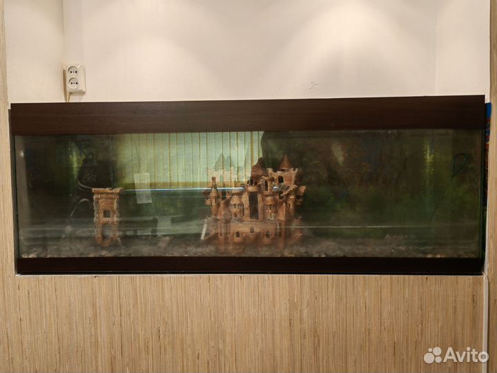 Аквариум