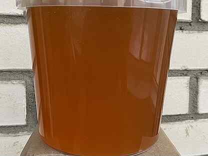 Каштановый мёд туапсе (есть пыльцевой анализ)