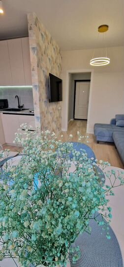 1-к. квартира, 42 м², 25/25 эт.