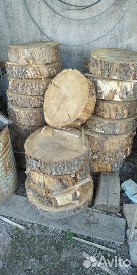 Дубовый спил