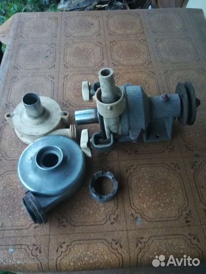 Животноводство