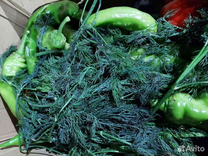 Овощи на корм скоту и птице