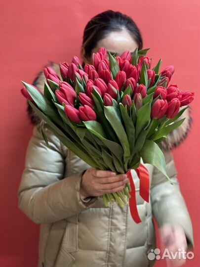 Тюльпаны оптом