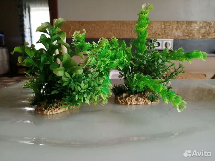 Искусственные водоросли