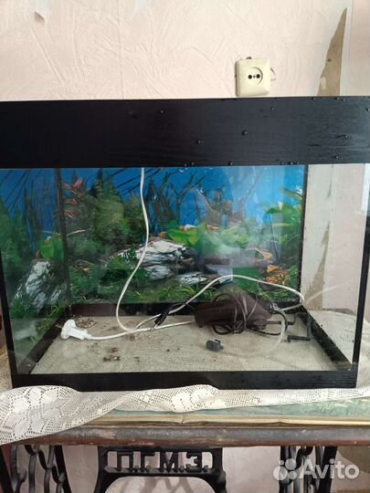 Аквариум