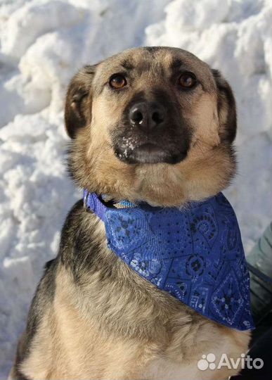 Октавия хочет домой