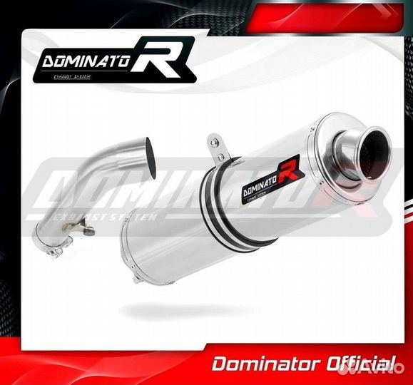 Глушитель Dominator BMW R1200R 2006-2009 Выхлоп