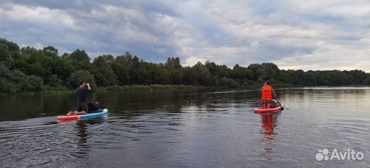 Аренда прокат сапбордов